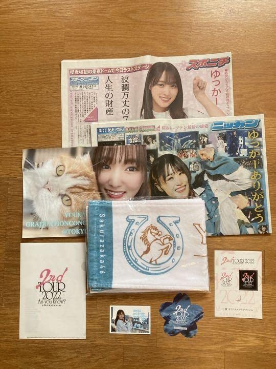 櫻坂46】菅井友香 卒業セレモニーグッツ 3点セット